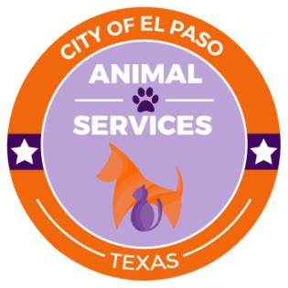 Services El Paso